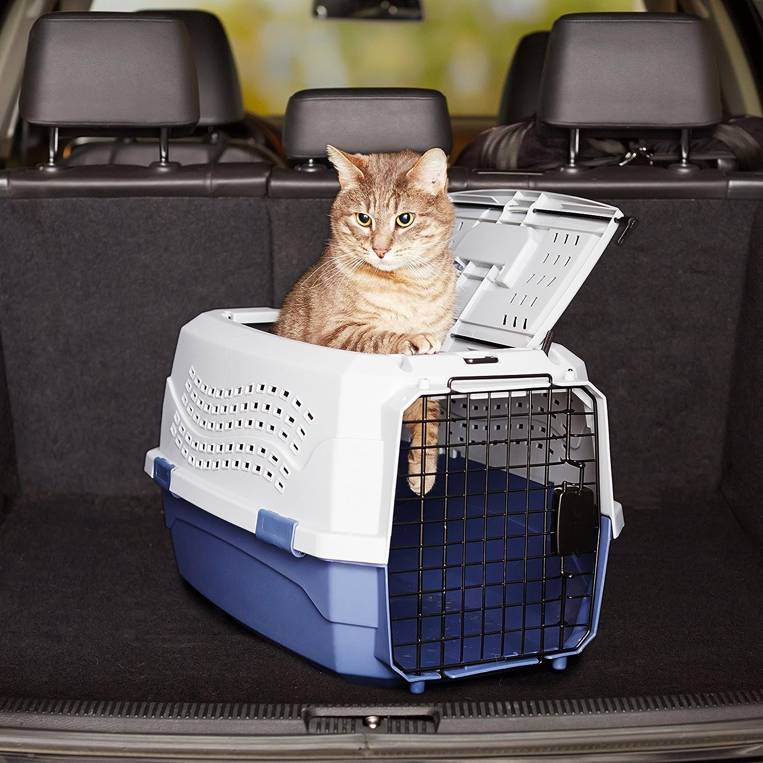2-Door Top-Load Hard-Sided Dogs, Cats Pet Travel Carrier, Gray & Blue, 22.8"L x 15.0"W x 13.0"H